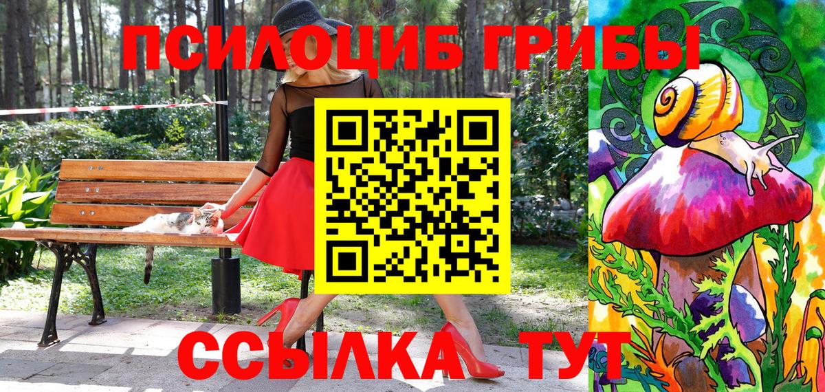 Псилоцибиновые грибы Magic Shrooms Сухой Лог